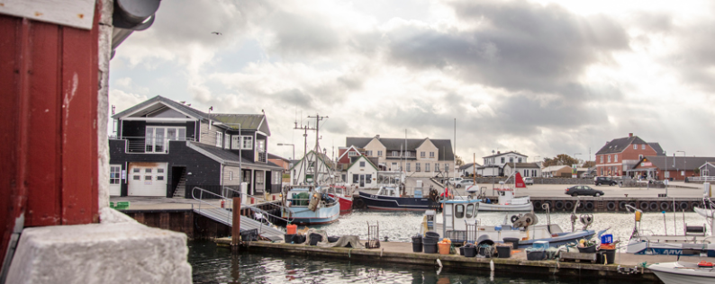 Turismesamarbejde og politik på Læsø